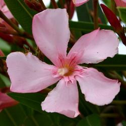 Image: Trevor James © Trevor James 